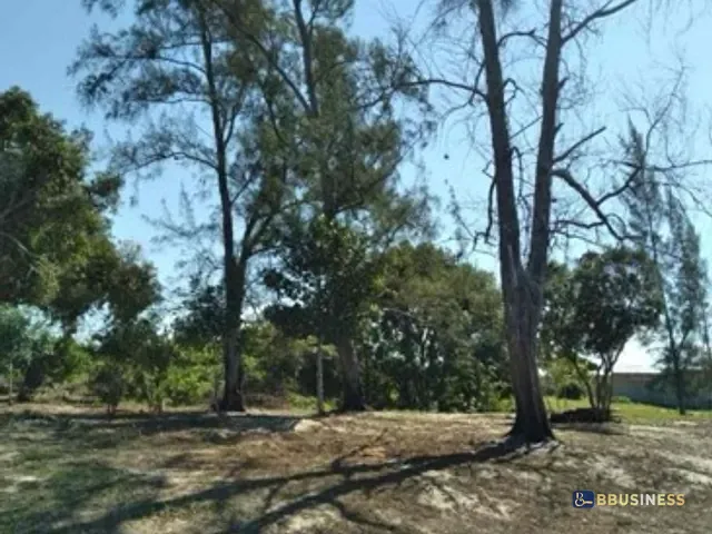 Sítio com 11642m² 6 quartos e 6 banheiros, à venda, no bairro Perigoso  em São João da Barra