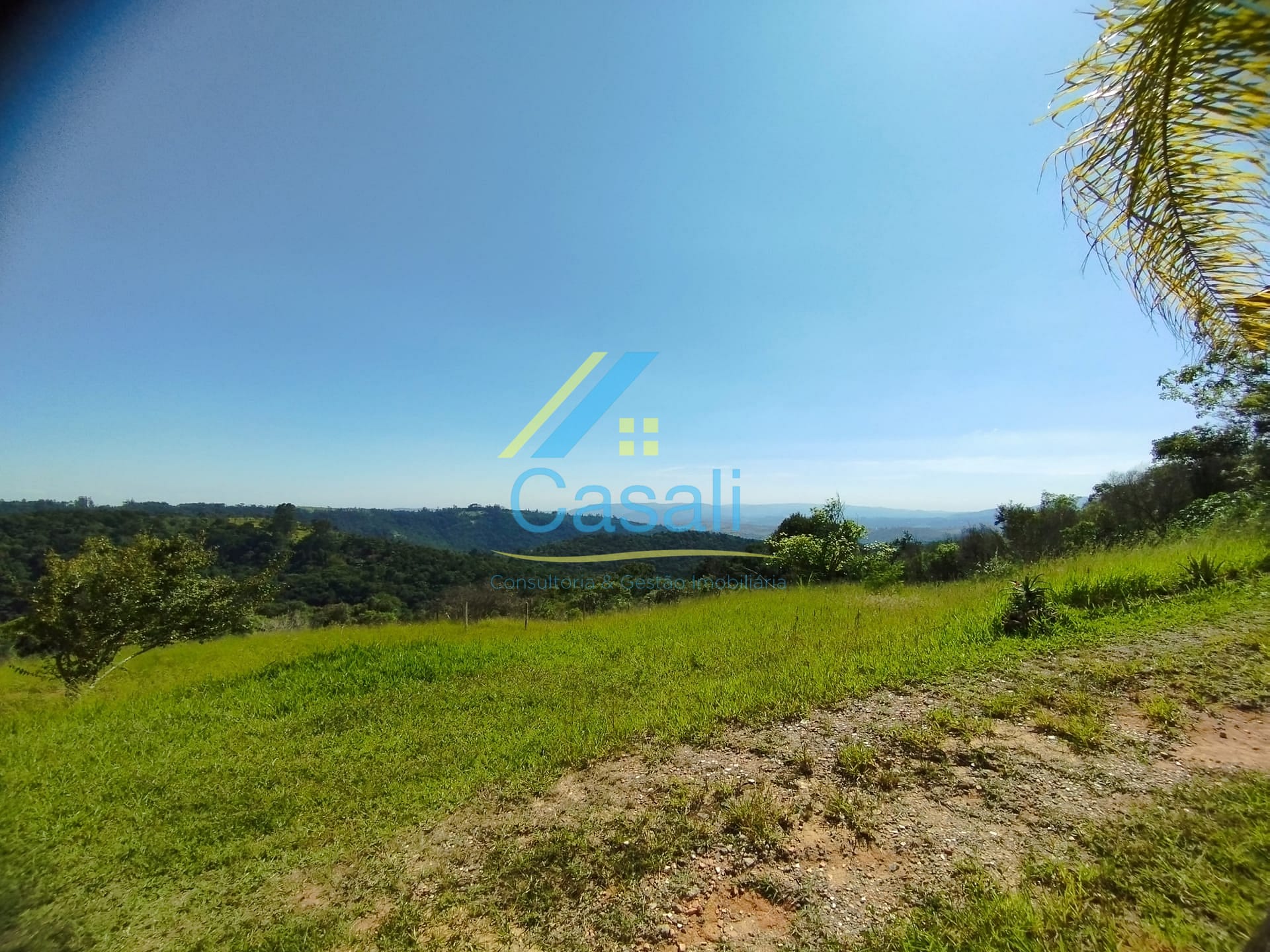 Sítio, 3 quartos, 2 hectares - Foto 4