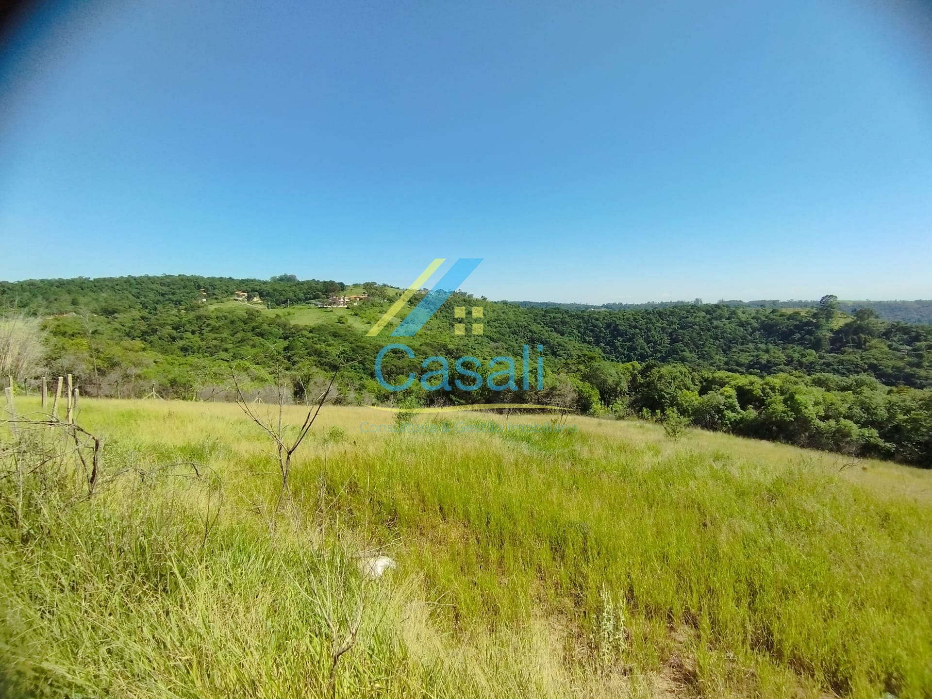 Sítio, 3 quartos, 2 hectares - Foto 23