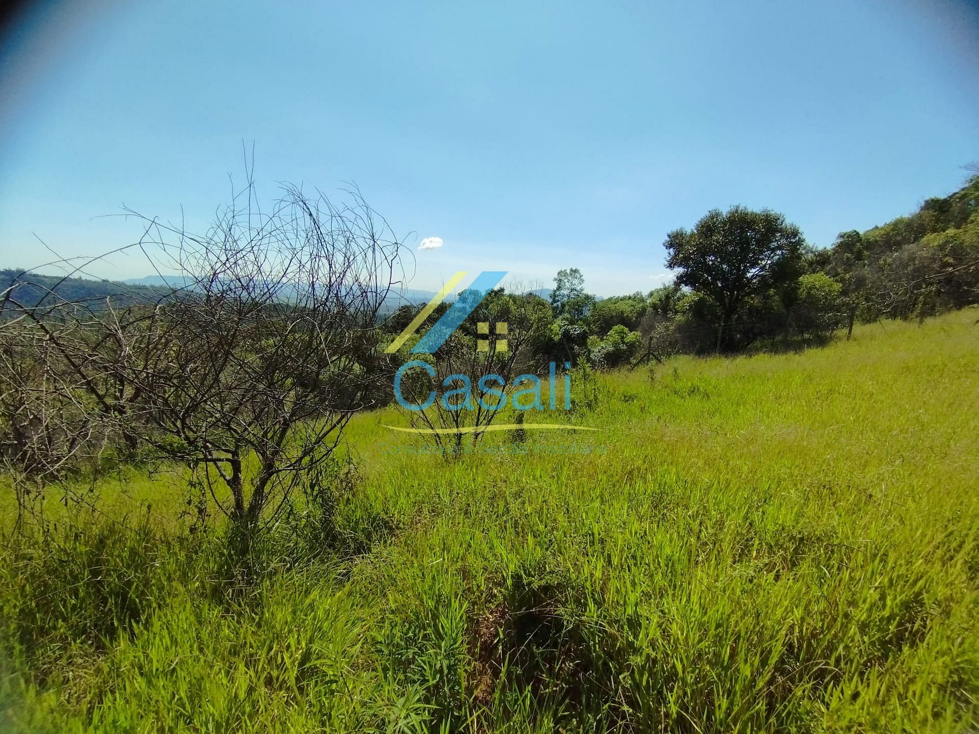 Sítio, 3 quartos, 2 hectares - Foto 24