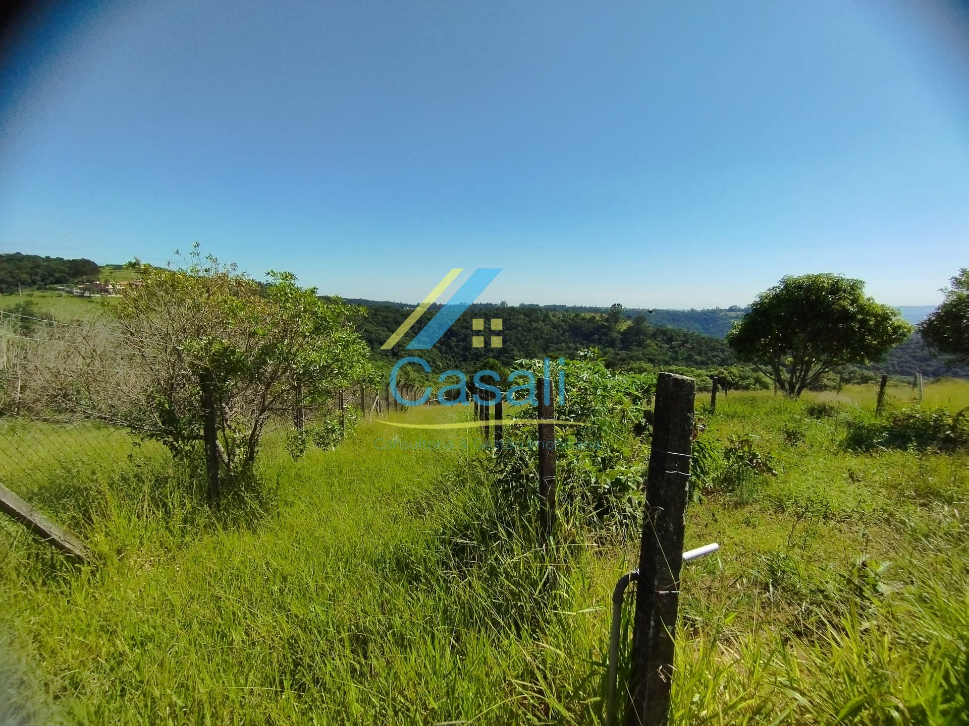 Sítio, 3 quartos, 2 hectares - Foto 27