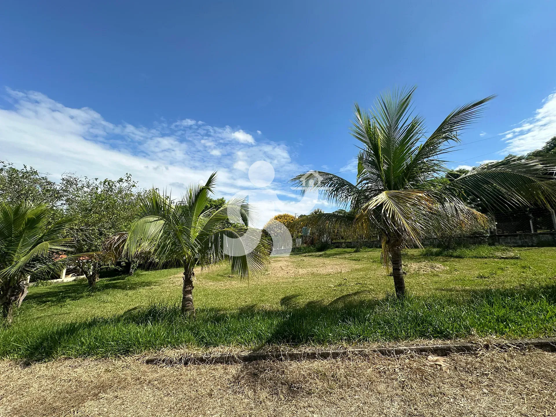 Sítio, 2 quartos, 5000 m² - Foto 6
