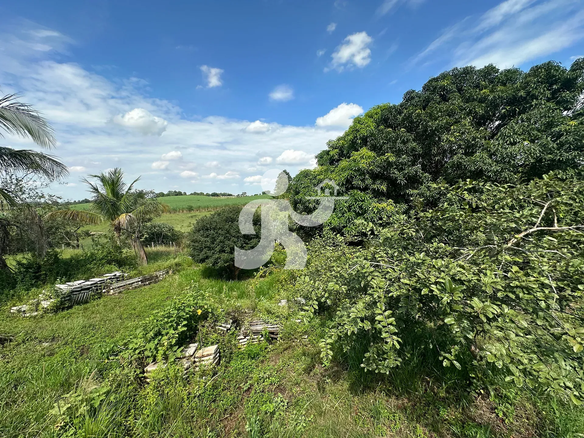 Sítio, 2 quartos, 5000 m² - Foto 33