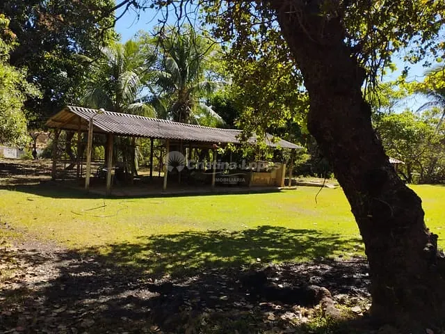 Sítio com 150m² 3 quartos e 2 banheiros, à venda, no bairro zona rural em Teresina