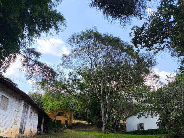 Sítio com 22000m² 3 quartos e 3 banheiros, à venda, no bairro Porteira Preta em Mogi das Cruzes
