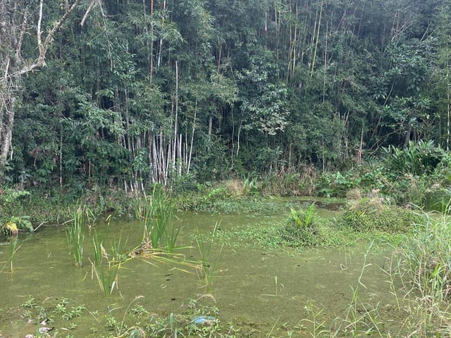 Sítio com 22000m² 3 quartos e 3 banheiros, à venda, no bairro Porteira Preta em Mogi das Cruzes