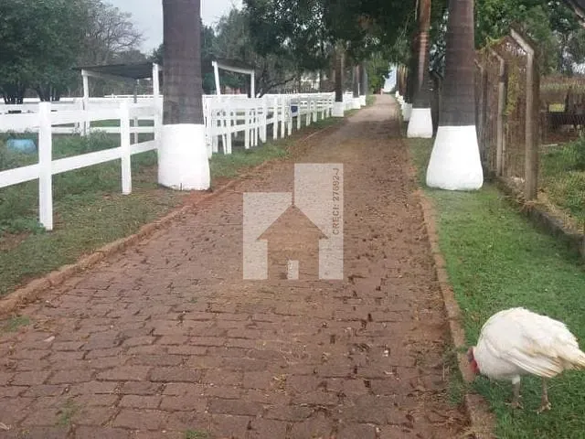 Sítio com 17461m² 4 quartos e 1 banheiro, à venda, no bairro Jardim Primavera em Itupeva