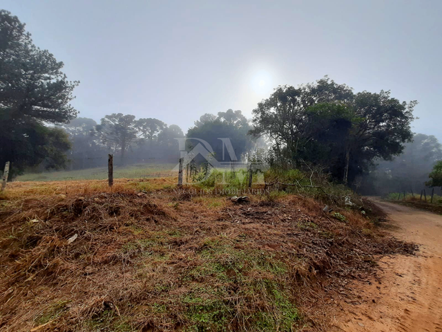 Sítio com 17200m², à venda, no bairro Espigão Alto em Jaguariaíva