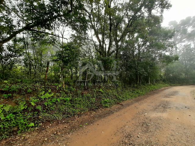 Sítio com 17200m², à venda, no bairro Espigão Alto em Jaguariaíva