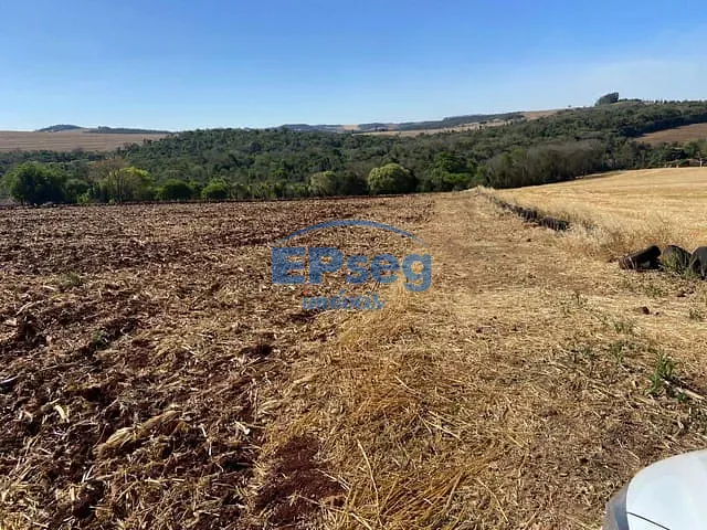 Sítio com 116160m² 3 quartos e 1 banheiro, à venda, no bairro Guaravera em Londrina