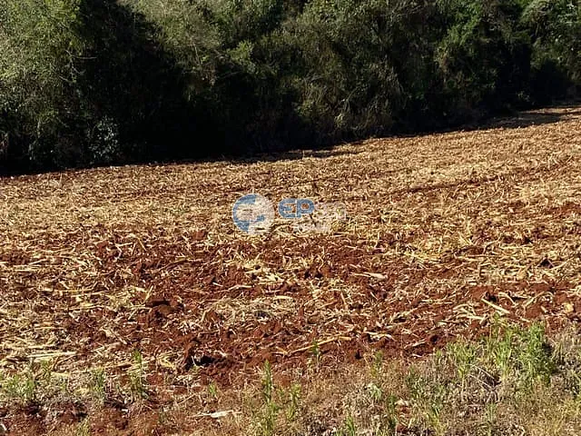 Sítio com 116160m² 1 quarto e 1 banheiro, à venda, no bairro Guaravera em Londrina