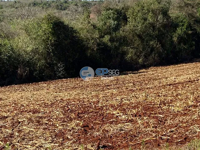 Sítio com 116160m² 1 quarto e 1 banheiro, à venda, no bairro Guaravera em Londrina