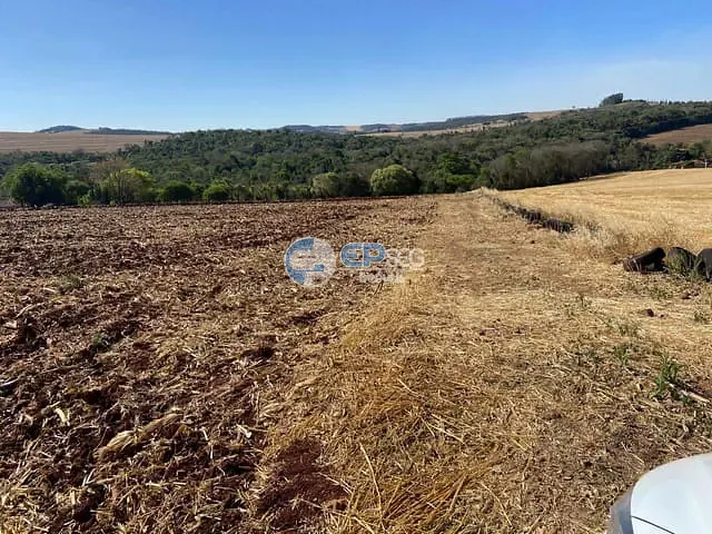 Sítio com 116160m² 1 quarto e 1 banheiro, à venda, no bairro Guaravera em Londrina