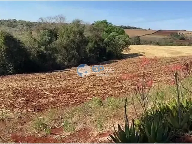 Sítio com 116160m² 1 quarto e 1 banheiro, à venda, no bairro Guaravera em Londrina
