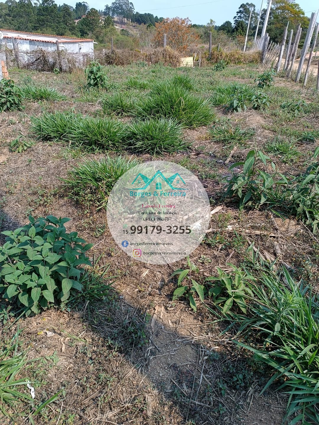 Chácara à venda com 2 quartos, 800m² - Foto 20