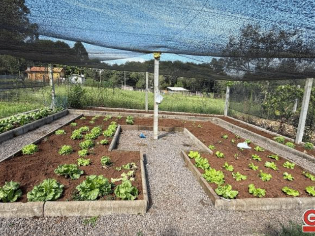 Sítio com 6350m² 1 quarto e 1 banheiro, à venda, no bairro Gramadinho em Nova Prata