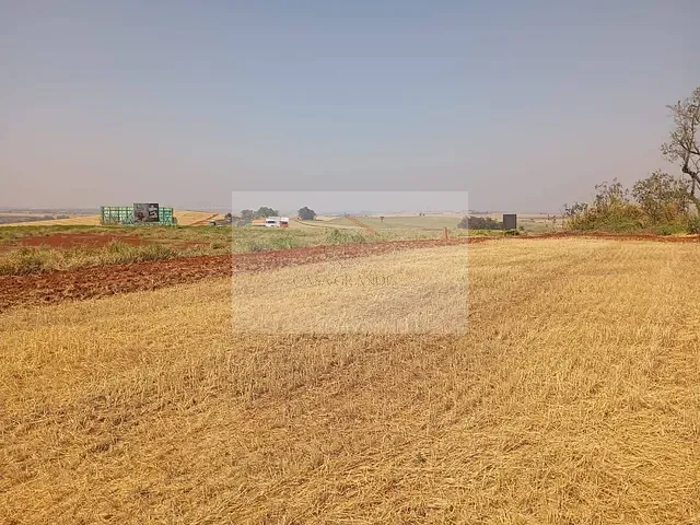 Sítio com 136m², à venda, no bairro Jardim Caviúna em Rolândia