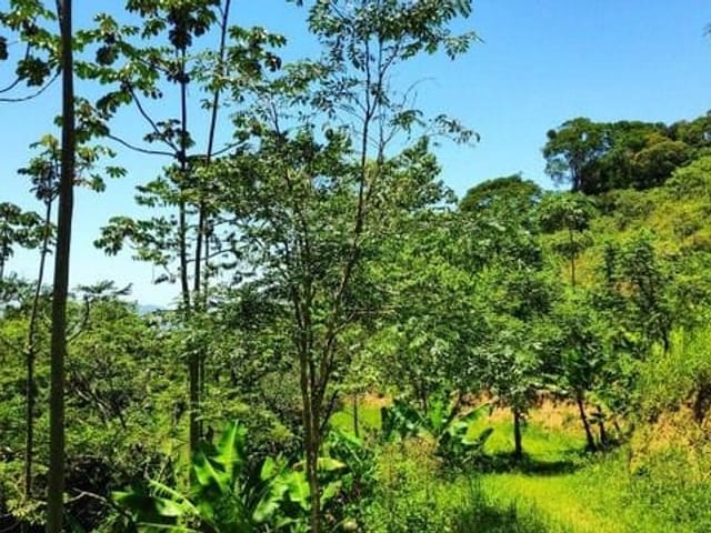 Foto do Sítio - Sítio à venda, 145000 m² por R$ 350.000 - Estrada do Barbozão - Tanguá/RJ | IEMÓVEL Assessoria Imobiliária