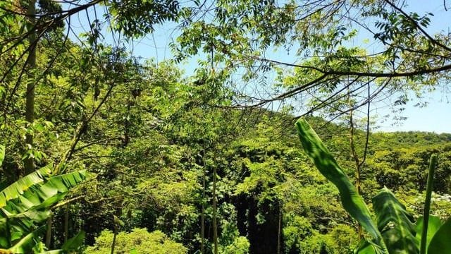 Foto do Sítio - Sítio à venda, 145000 m² por R$ 350.000 - Estrada do Barbozão - Tanguá/RJ | IEMÓVEL Assessoria Imobiliária