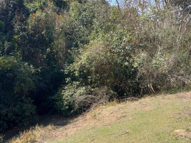 Sítio 2 quartos e 2 banheiros, à venda, no bairro jacutinga em Santana do Riacho