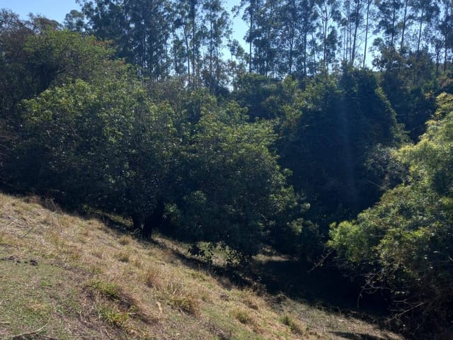 Sítio 2 quartos e 2 banheiros, à venda, no bairro jacutinga em Santana do Riacho