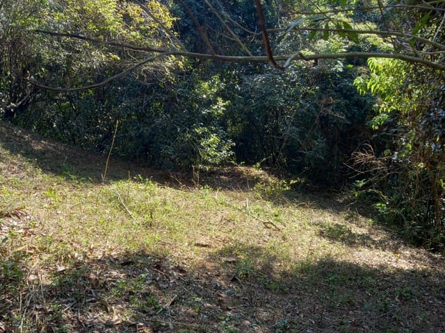 Sítio 2 quartos e 2 banheiros, à venda, no bairro jacutinga em Santana do Riacho