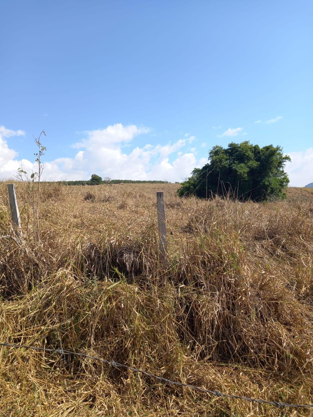 Sítio, 2 quartos, 10 m² - Foto 11