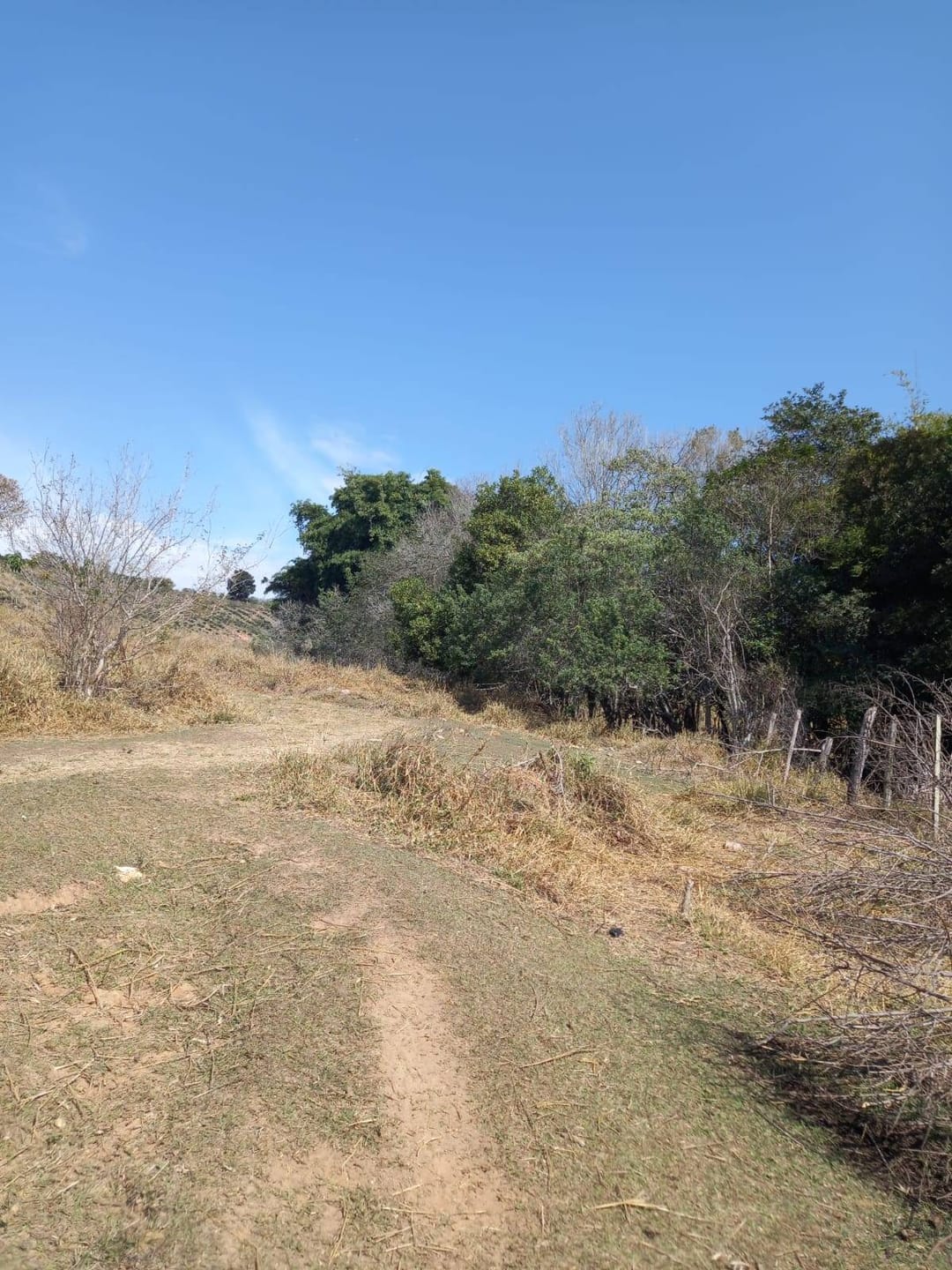 Sítio, 2 quartos, 10 m² - Foto 12