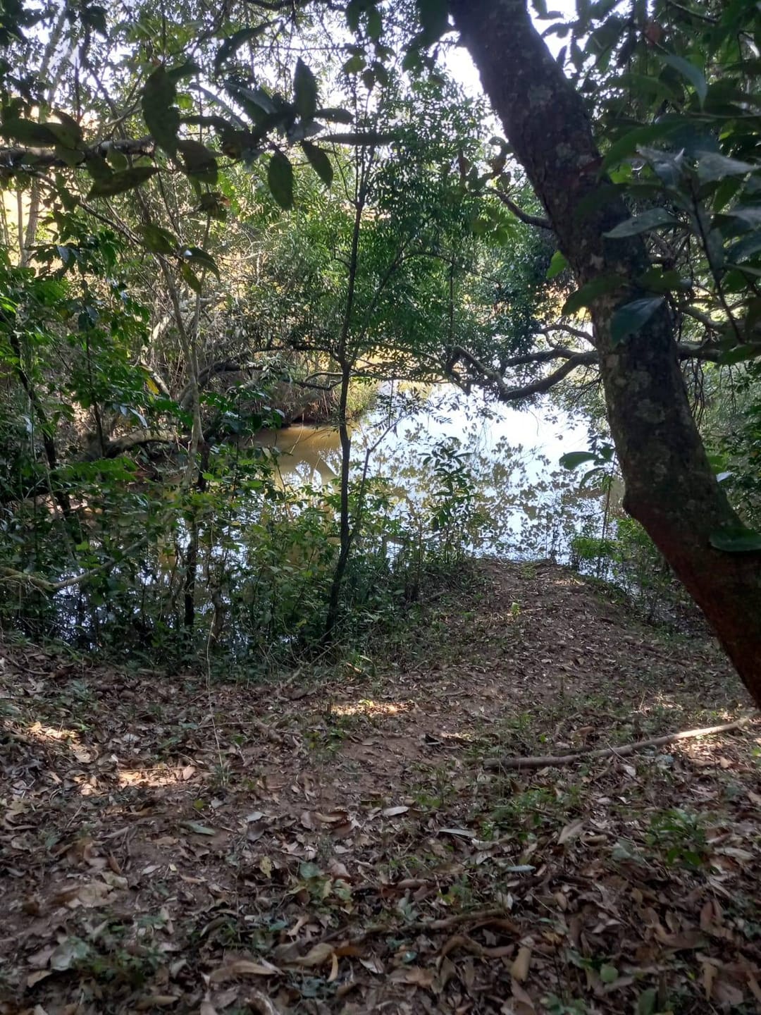 Sítio, 2 quartos, 10 m² - Foto 13