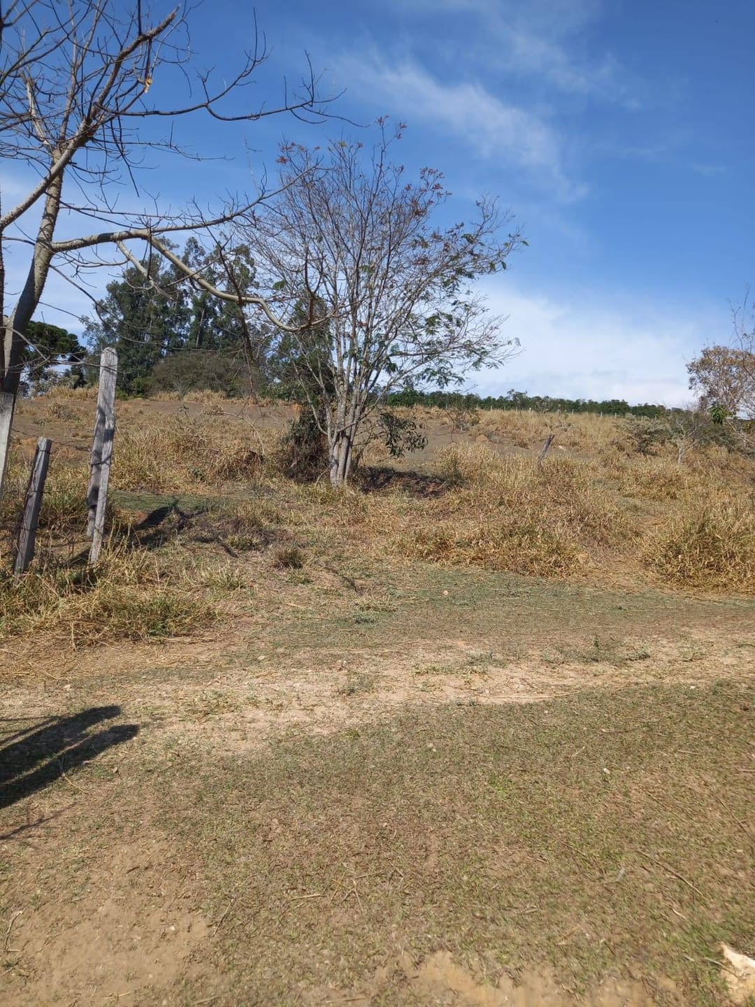 Sítio, 2 quartos, 10 m² - Foto 2