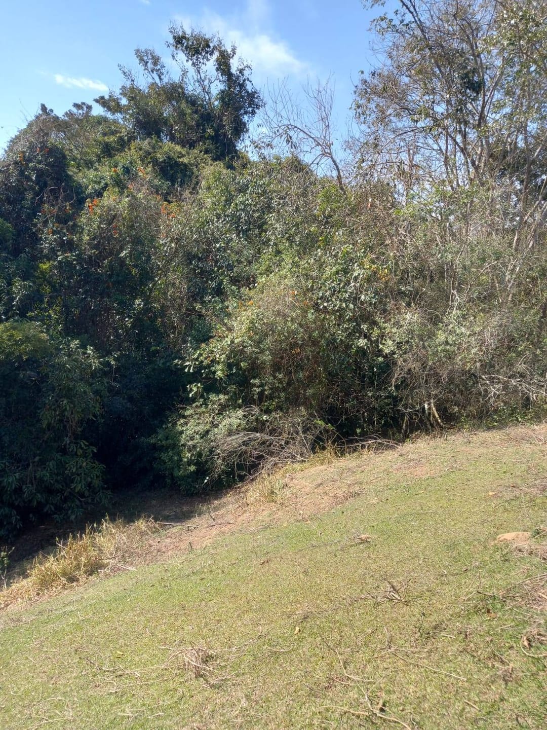 Sítio, 2 quartos, 10 m² - Foto 3