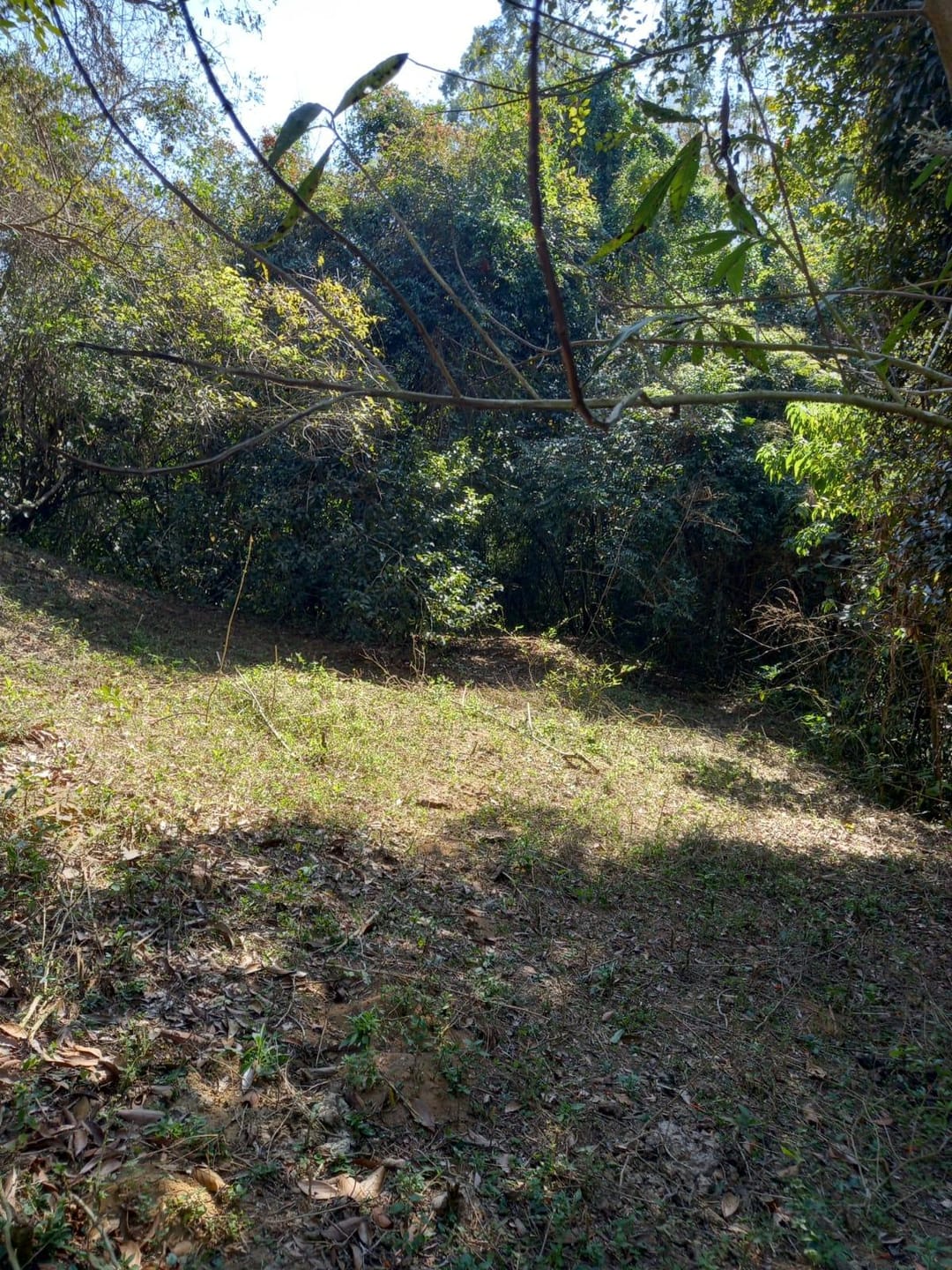 Sítio, 2 quartos, 10 m² - Foto 5