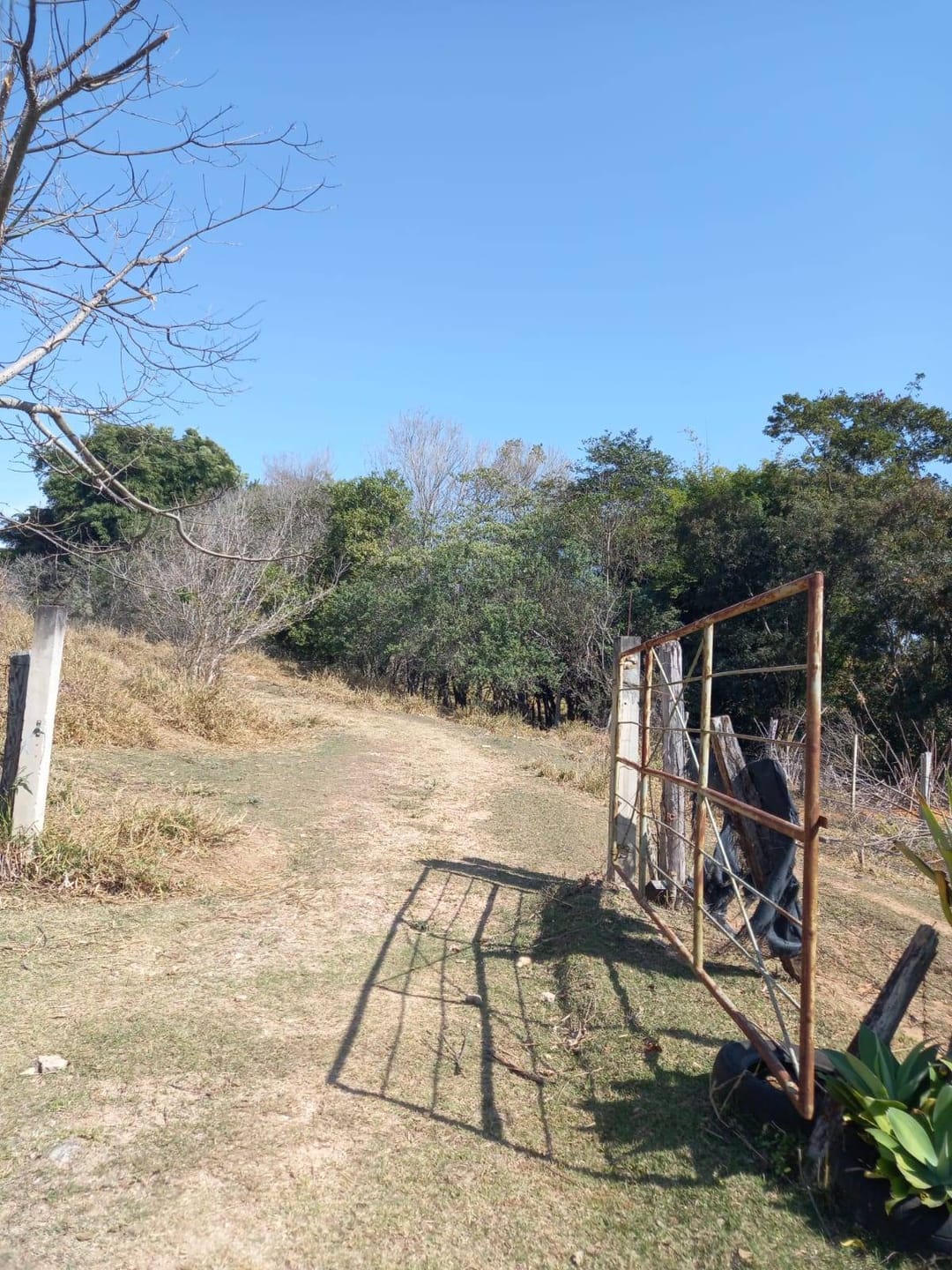 Sítio, 2 quartos, 10 m² - Foto 8