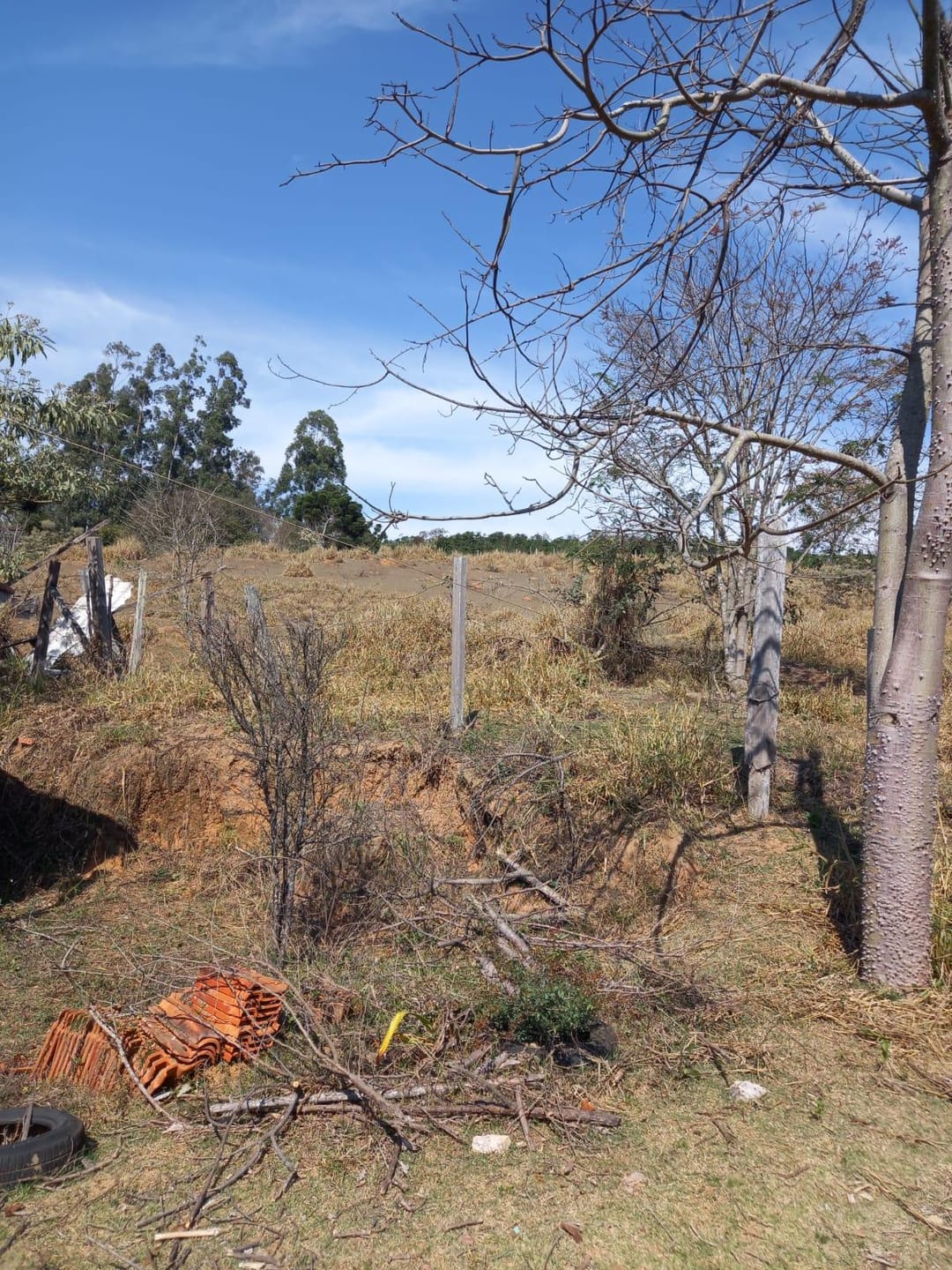 Sítio, 2 quartos, 10 m² - Foto 9