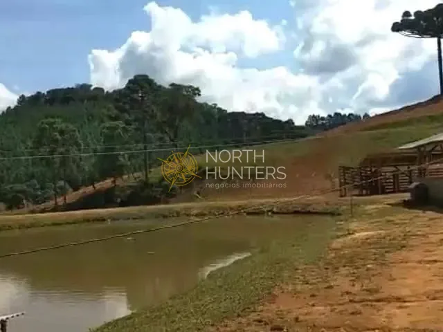 Sítio com 48000m² 2 quartos e 1 banheiro, à venda, no bairro Laranjeiras em Campo Alegre