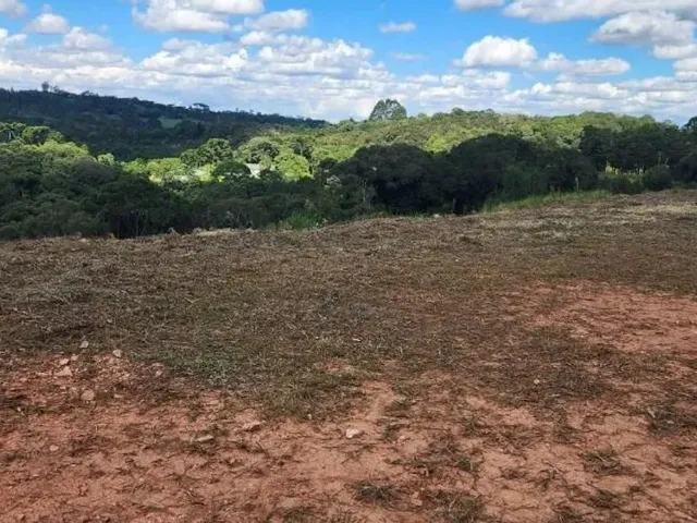 Sítio à venda, no bairro Itaqui de Cima em Campo Largo