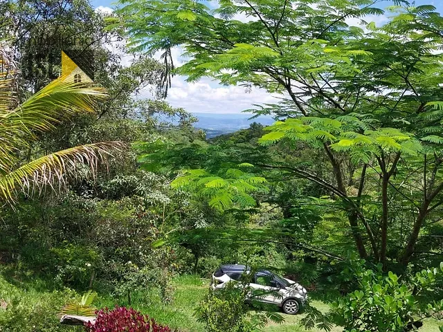Sítio com 21000m² 3 quartos e 2 banheiros, à venda, no bairro Piedade em Caçapava
