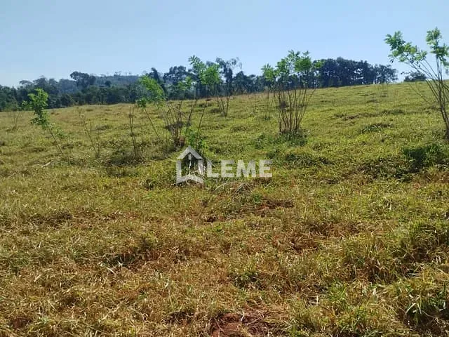 Sítio com 508200m², à venda, no bairro Vila Lambari em Mococa
