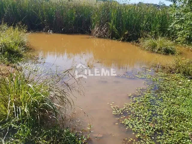 Sítio com 508200m², à venda, no bairro Vila Lambari em Mococa