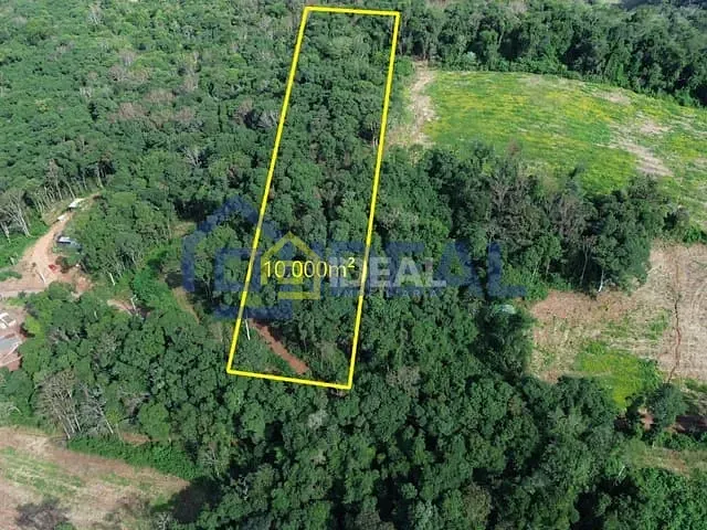 Sítio com 10000m², à venda, no bairro Área Rural de Concórdia em Concórdia