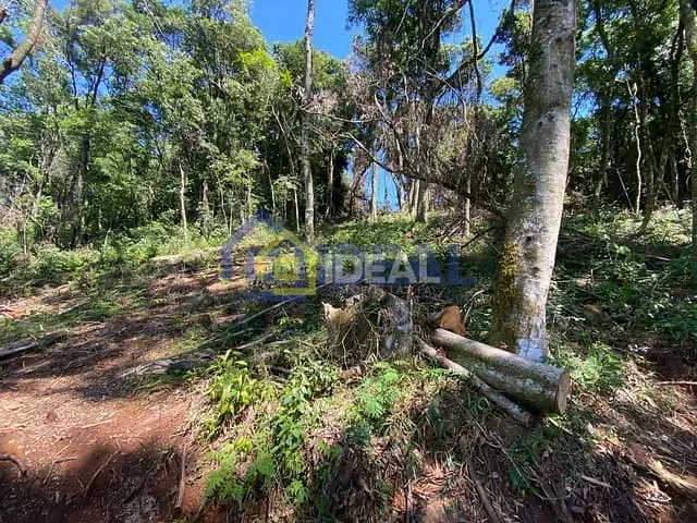 Sítio com 10000m², à venda, no bairro Área Rural de Concórdia em Concórdia