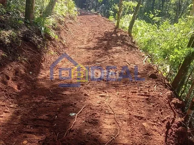 Sítio com 10000m², à venda, no bairro Área Rural de Concórdia em Concórdia