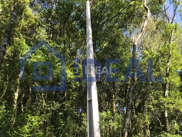 Sítio com 10000m², à venda, no bairro Área Rural de Concórdia em Concórdia
