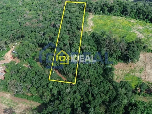Sítio com 10000m², à venda, no bairro Área Rural de Concórdia em Concórdia