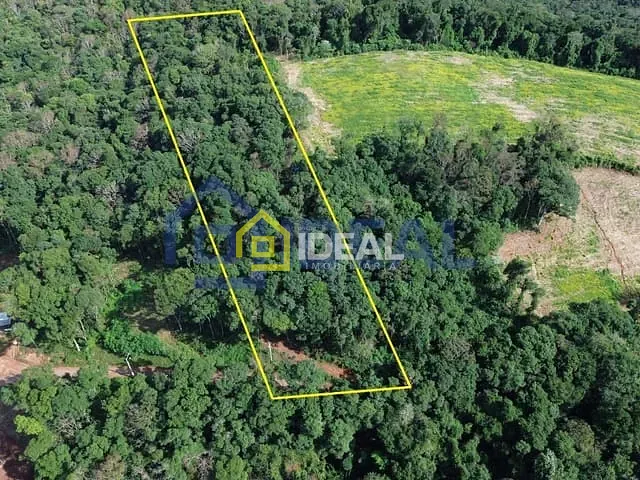 Sítio com 10000m², à venda, no bairro Área Rural de Concórdia em Concórdia
