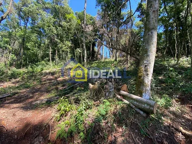 Sítio com 10000m², à venda, no bairro Área Rural de Concórdia em Concórdia