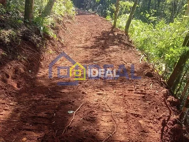 Sítio com 10000m², à venda, no bairro Área Rural de Concórdia em Concórdia