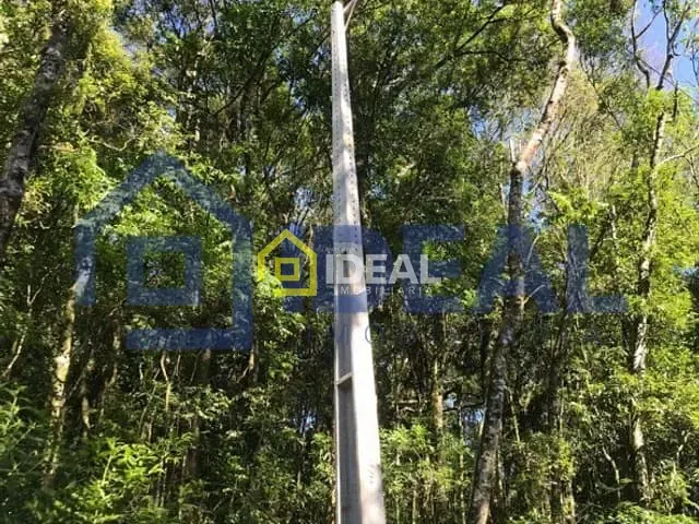 Sítio com 10000m², à venda, no bairro Área Rural de Concórdia em Concórdia