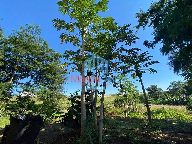 Sítio com 600m² 2 quartos e 2 banheiros, à venda, no bairro região de Ituverava em Ituverava
