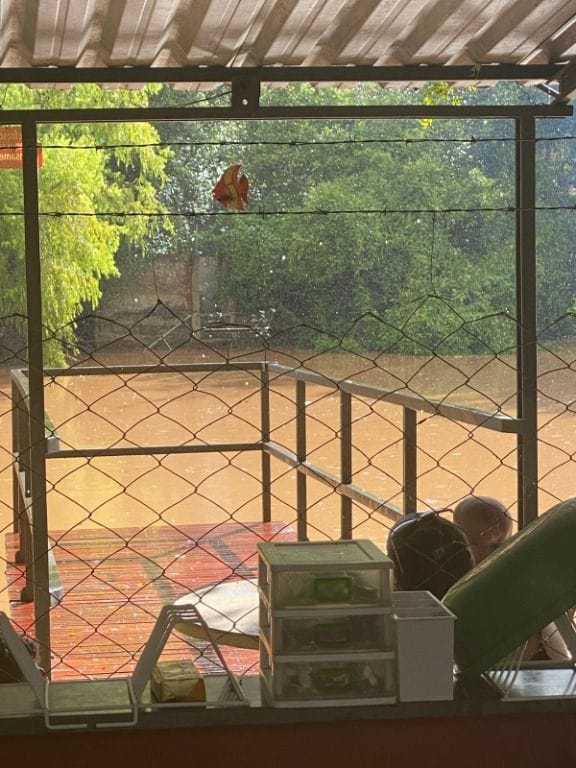 Rural / Chácara no Serrinha — foto 32